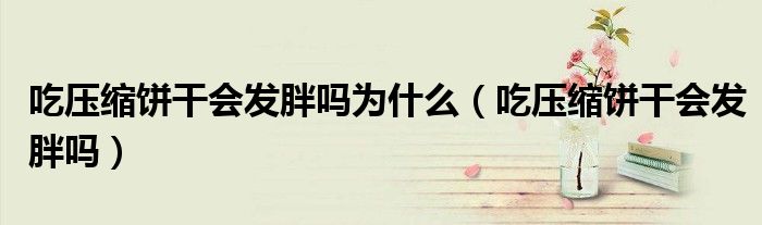 吃壓縮餅干會(huì)發(fā)胖嗎為什么（吃壓縮餅干會(huì)發(fā)胖嗎）