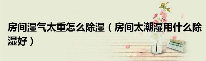 房間濕氣太重怎么除濕（房間太潮濕用什么除濕好）