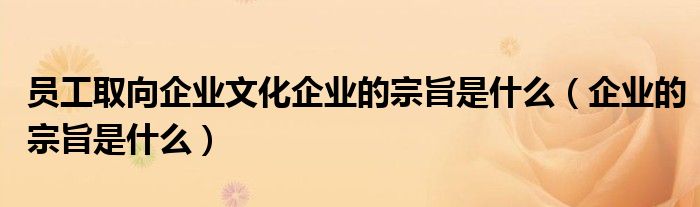 員工取向企業(yè)文化企業(yè)的宗旨是什么（企業(yè)的宗旨是什么）