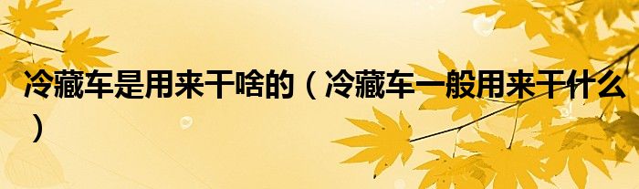 冷藏車是用來干啥的（冷藏車一般用來干什么）