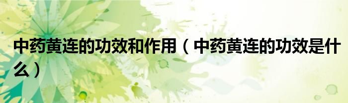 中藥黃連的功效和作用（中藥黃連的功效是什么）