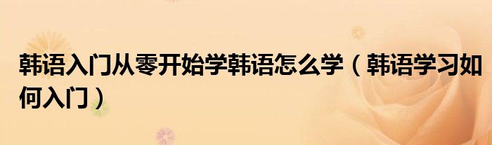 韓語入門從零開始學(xué)韓語怎么學(xué)（韓語學(xué)習(xí)如何入門）