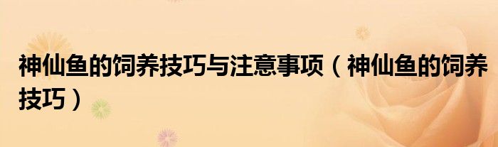 神仙魚(yú)的飼養(yǎng)技巧與注意事項(xiàng)（神仙魚(yú)的飼養(yǎng)技巧）