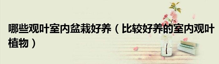 哪些觀葉室內(nèi)盆栽好養(yǎng)（比較好養(yǎng)的室內(nèi)觀葉植物）