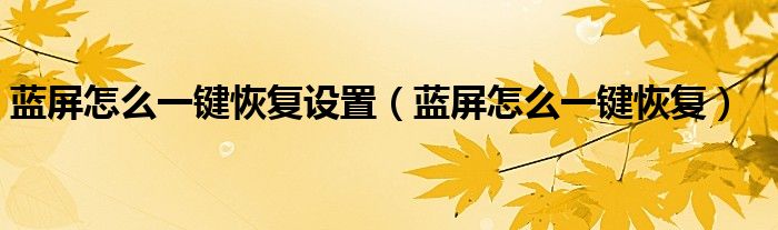 藍(lán)屏怎么一鍵恢復(fù)設(shè)置（藍(lán)屏怎么一鍵恢復(fù)）