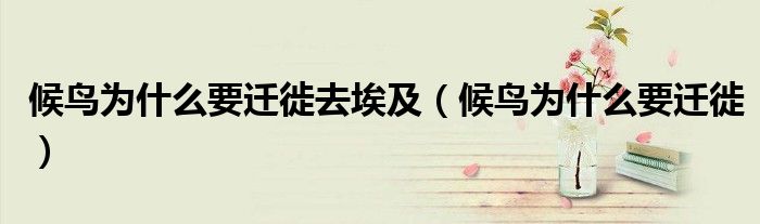 候鳥為什么要遷徙去埃及（候鳥為什么要遷徙）