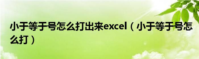 小于等于號怎么打出來excel（小于等于號怎么打）