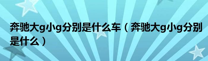 奔馳大g小g分別是什么車（奔馳大g小g分別是什么）