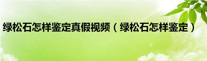 綠松石怎樣鑒定真假視頻（綠松石怎樣鑒定）