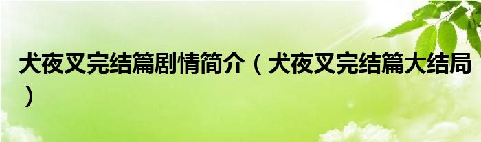 犬夜叉完結篇劇情簡介（犬夜叉完結篇大結局）