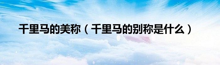 千里馬的美稱（千里馬的別稱是什么）
