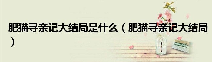 肥貓尋親記大結(jié)局是什么（肥貓尋親記大結(jié)局）
