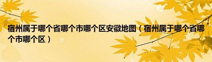 宿州屬于哪個(gè)省哪個(gè)市哪個(gè)區(qū)安徽地圖（宿州屬于哪個(gè)省哪個(gè)市哪個(gè)區(qū)）