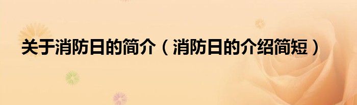 關(guān)于消防日的簡介（消防日的介紹簡短）