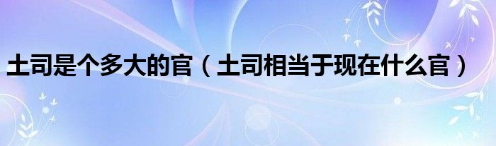 土司是個(gè)多大的官（土司相當(dāng)于現(xiàn)在什么官）