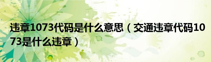 違章1073代碼是什么意思（交通違章代碼1073是什么違章）