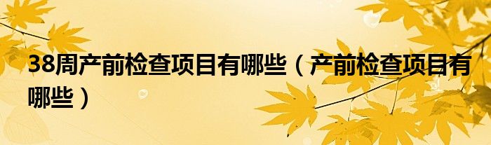 38周產(chǎn)前檢查項(xiàng)目有哪些（產(chǎn)前檢查項(xiàng)目有哪些）