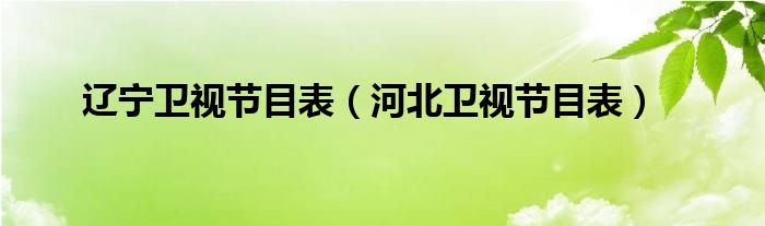 遼寧衛(wèi)視節(jié)目表（河北衛(wèi)視節(jié)目表）