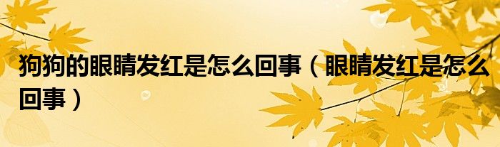 狗狗的眼睛發(fā)紅是怎么回事（眼睛發(fā)紅是怎么回事）