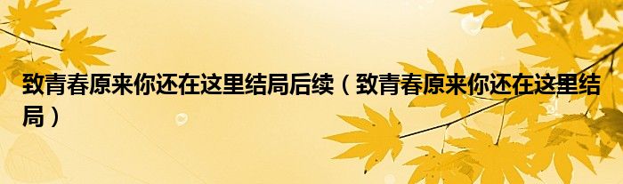 致青春原來你還在這里結(jié)局后續(xù)（致青春原來你還在這里結(jié)局）
