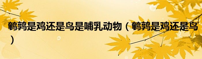 鵪鶉是雞還是鳥是哺乳動物（鵪鶉是雞還是鳥）