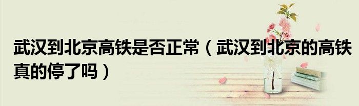 武漢到北京高鐵是否正常（武漢到北京的高鐵真的停了嗎）