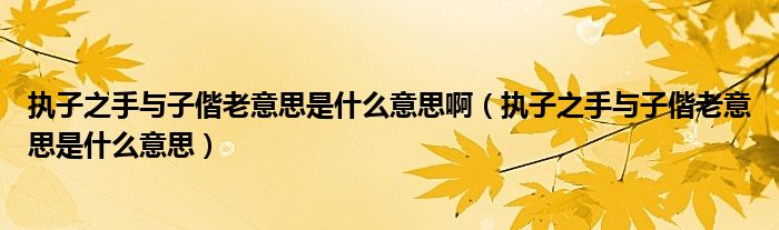 執(zhí)子之手與子偕老意思是什么意思啊（執(zhí)子之手與子偕老意思是什么意思）