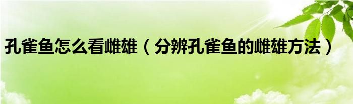 孔雀魚怎么看雌雄（分辨孔雀魚的雌雄方法）