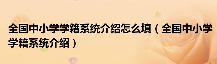 全國中小學(xué)學(xué)籍系統(tǒng)介紹怎么填（全國中小學(xué)學(xué)籍系統(tǒng)介紹）