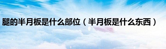 腿的半月板是什么部位（半月板是什么東西）