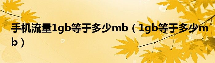 手機流量1gb等于多少mb（1gb等于多少mb）