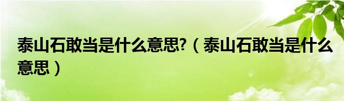 泰山石敢當是什么意思?（泰山石敢當是什么意思）