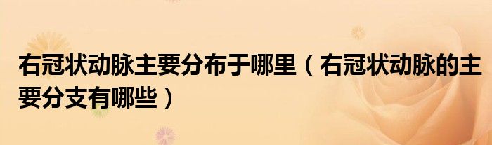 右冠狀動脈主要分布于哪里（右冠狀動脈的主要分支有哪些）