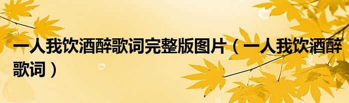 一人我飲酒醉歌詞完整版圖片（一人我飲酒醉歌詞）
