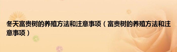 冬天富貴樹(shù)的養(yǎng)殖方法和注意事項(xiàng)（富貴樹(shù)的養(yǎng)殖方法和注意事項(xiàng)）