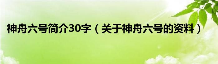 神舟六號簡介30字（關(guān)于神舟六號的資料）