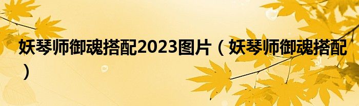 妖琴師御魂搭配2023圖片（妖琴師御魂搭配）