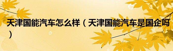 天津國(guó)能汽車(chē)怎么樣（天津國(guó)能汽車(chē)是國(guó)企嗎）