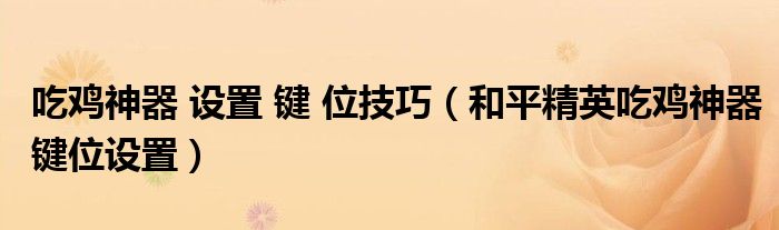 吃雞神器 設(shè)置 鍵 位技巧（和平精英吃雞神器鍵位設(shè)置）