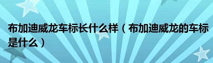 布加迪威龍車(chē)標(biāo)長(zhǎng)什么樣（布加迪威龍的車(chē)標(biāo)是什么）