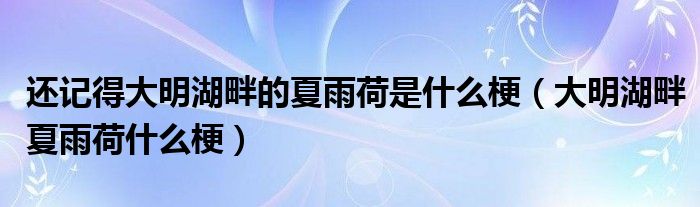 還記得大明湖畔的夏雨荷是什么梗（大明湖畔夏雨荷什么梗）
