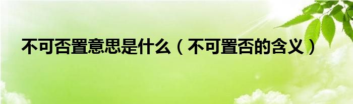 不可否置意思是什么（不可置否的含義）