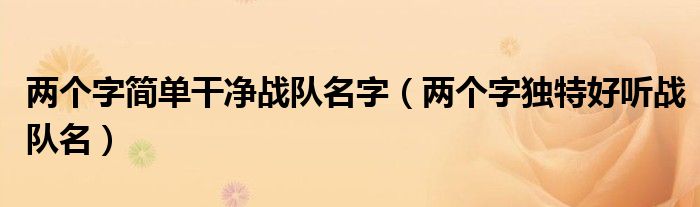 兩個(gè)字簡單干凈戰(zhàn)隊(duì)名字（兩個(gè)字獨(dú)特好聽?wèi)?zhàn)隊(duì)名）