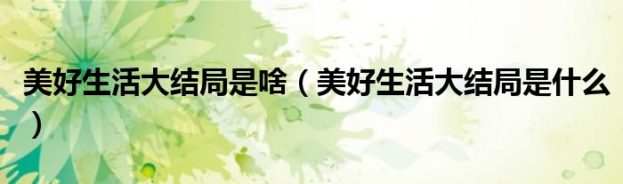 美好生活大結(jié)局是啥（美好生活大結(jié)局是什么）