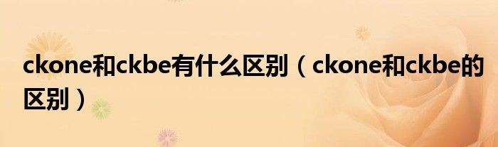 ckone和ckbe有什么區(qū)別（ckone和ckbe的區(qū)別）