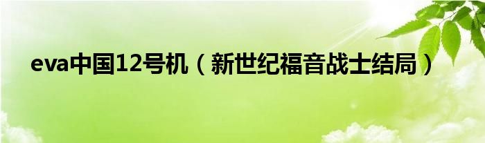 eva中國12號機(jī)（新世紀(jì)福音戰(zhàn)士結(jié)局）