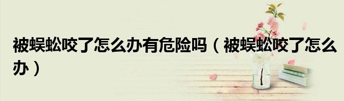 被蜈蚣咬了怎么辦有危險(xiǎn)嗎（被蜈蚣咬了怎么辦）