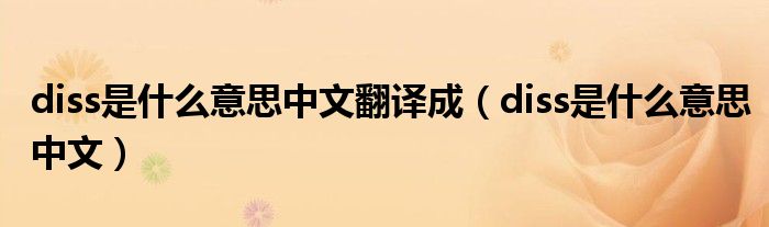 diss是什么意思中文翻譯成（diss是什么意思中文）