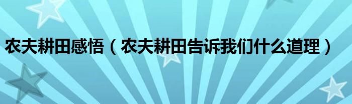 農(nóng)夫耕田感悟（農(nóng)夫耕田告訴我們什么道理）