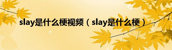 slay是什么梗視頻（slay是什么梗）
